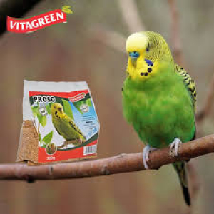 Hrana za papagaje